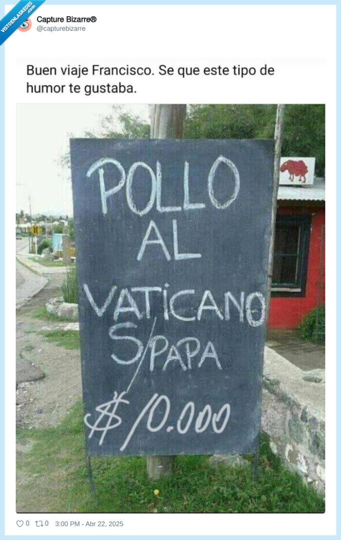 pollo,vaticano,papa