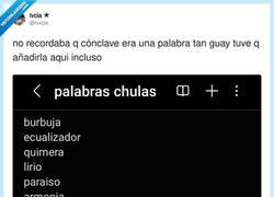 Enlace a La verdad es que el castellano tiene palabras muy chulas, por @lvvcia