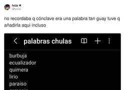 Enlace a La verdad es que el castellano tiene palabras muy chulas, por @lvvcia