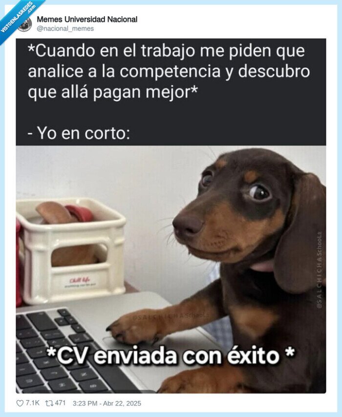 enviar,cv,exito