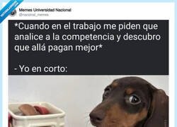 Enlace a No habérmelo pedido