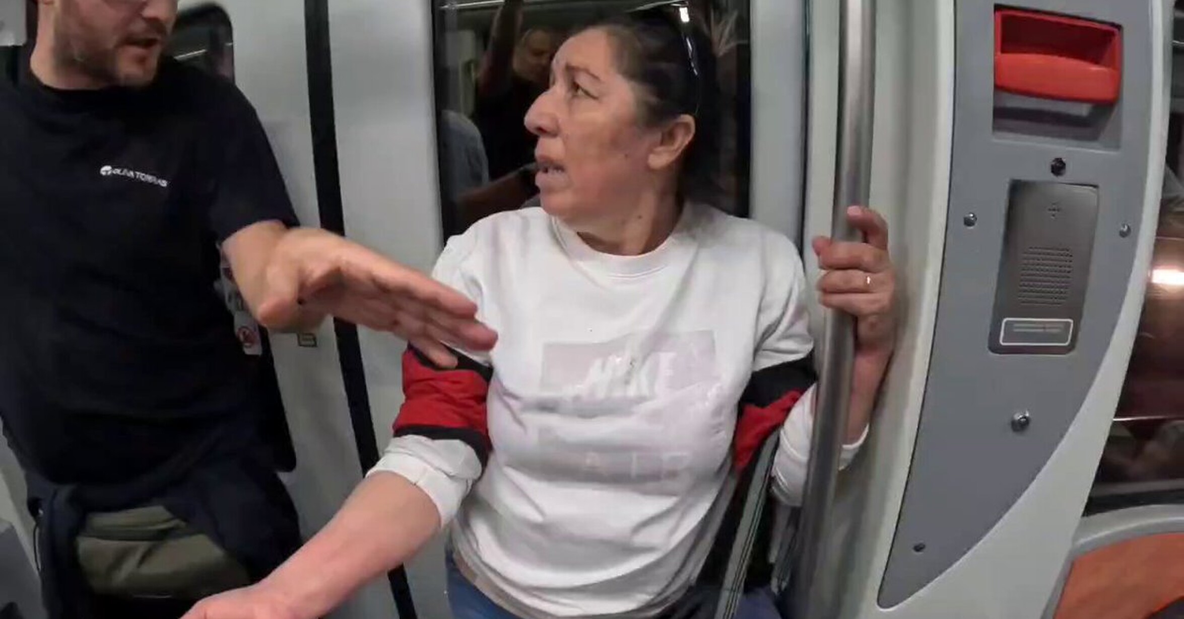 ESPAÑA WTF Pillan a una carterista y la pánfila de turno, diciendo que da igual, que la dejen trabajar