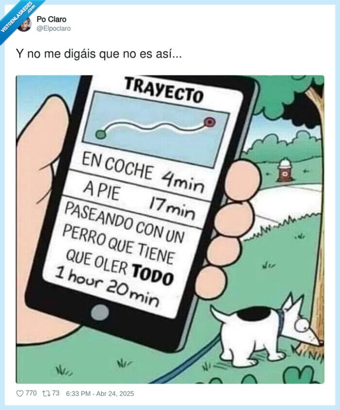 pasear,perro,tiempo