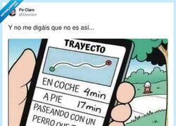 Enlace a Si tienes perro sabes que es así, por @Elpoclaro