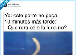 Enlace a Fíjate un poco más, por @ymuchosmemes