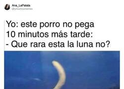 Enlace a Fíjate un poco más, por @ymuchosmemes