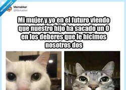 Enlace a Somos un par de inútiles, por @Memakker