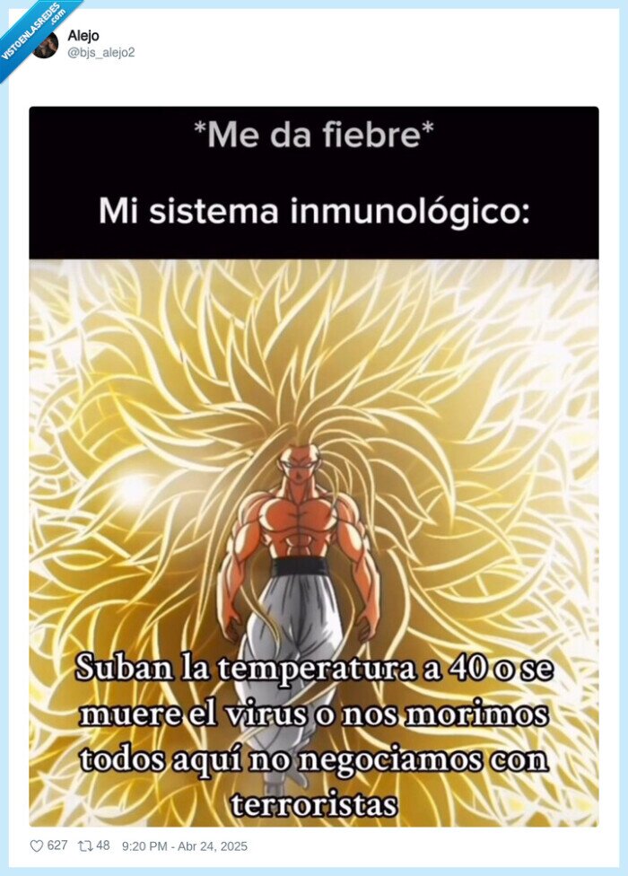 fiebre,temperatura,virus,morir