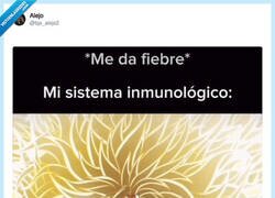 Enlace a Así funciona el cuerpo humano