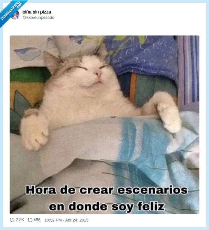 gato,crear escenario,felicidad