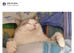 Enlace a A mimir, por @skereunpesado