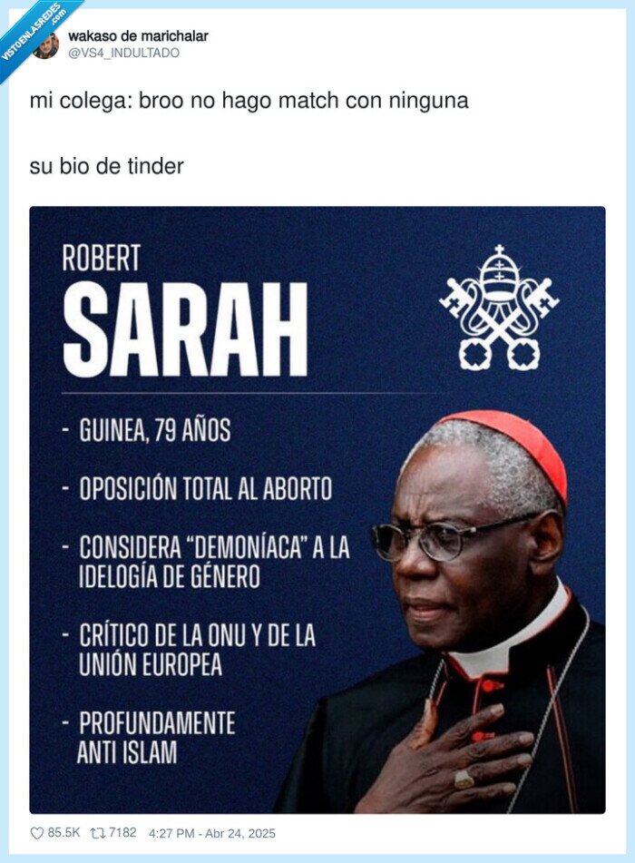 robert sarah,cura,papa