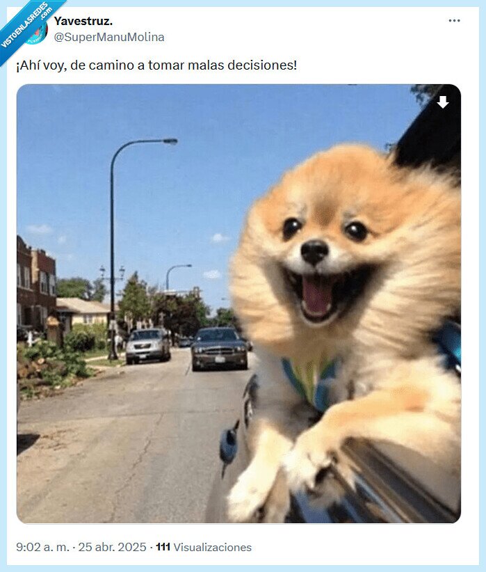 cometer,decisiones,erroes,camino