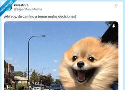 Enlace a ¡Con muchas ganas! por @supermanumolina