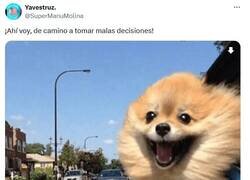 Enlace a ¡Con muchas ganas! por @supermanumolina