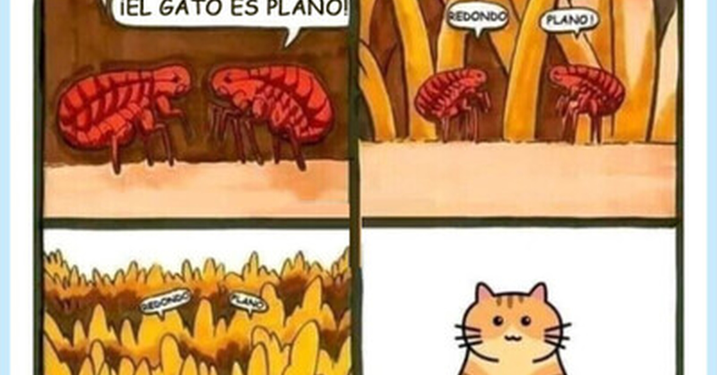 Es gatoplanista, por @ymuchosmemes