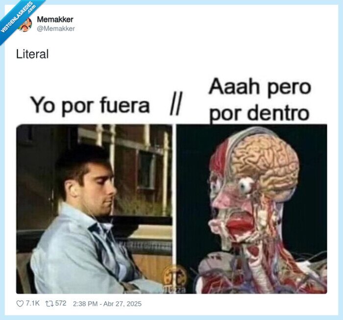 tranquilo,fuera,dentro,sistema nervioso