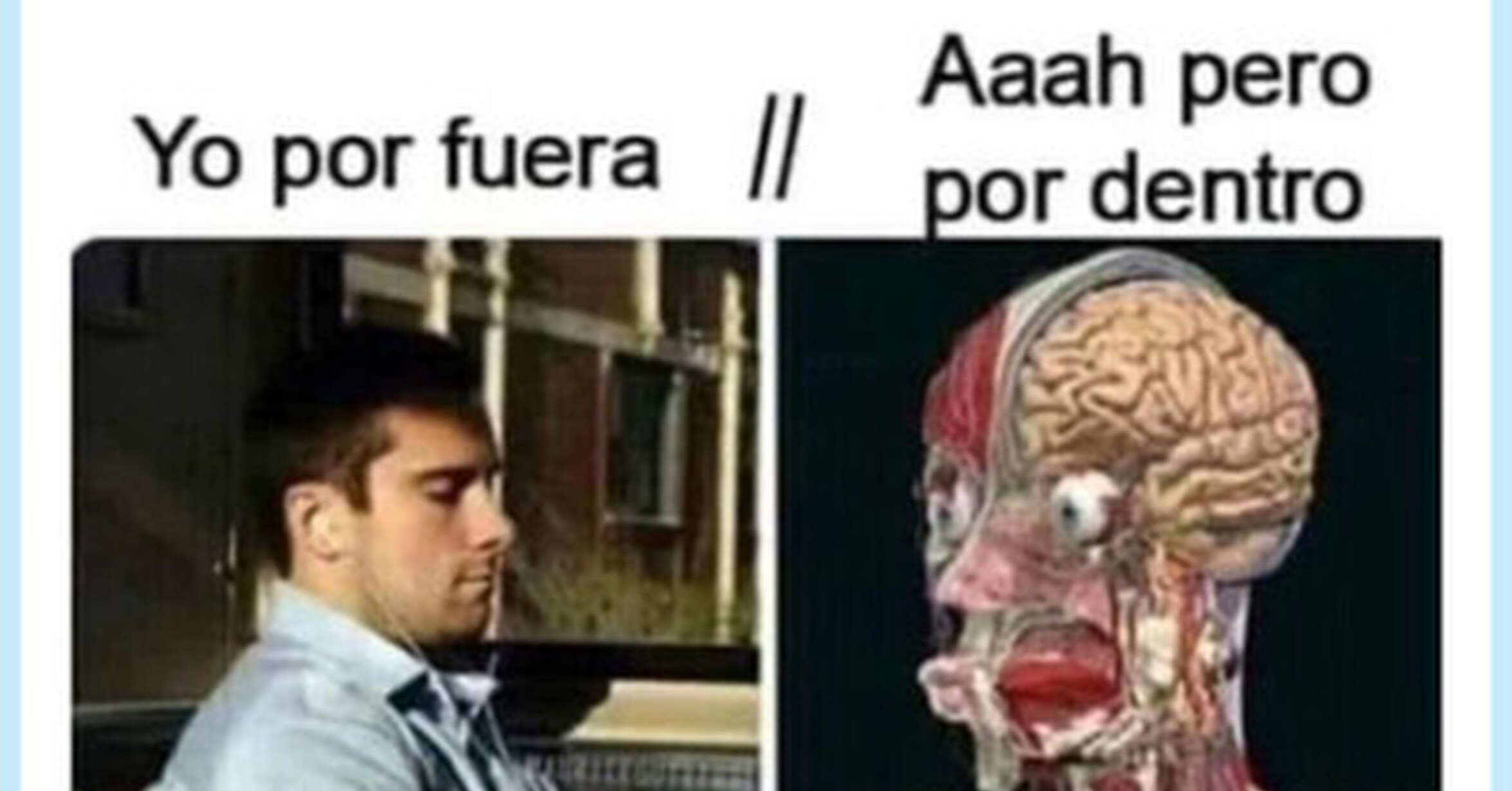 El sistema nervioso no para, por @Memakker