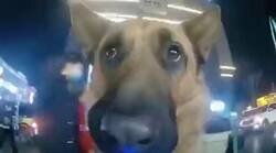 Enlace a La he liado parda, por @zumonaranj