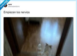 Enlace a Menos mal que lo pararon, por @favadakedavra
