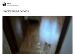 Enlace a Menos mal que lo pararon, por @favadakedavra