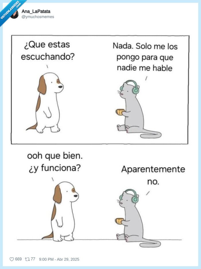 escuchar,gato,perro,hablar,nadie