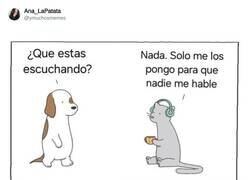 Enlace a Hay gente muy pesada, por @ymuchosmemes