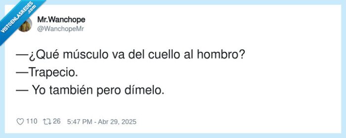 músculo,trapecio,cuello,hombro