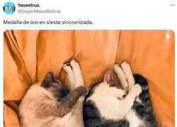 Enlace a Lo mejor son las siestas de domingo, por @supermanumolina