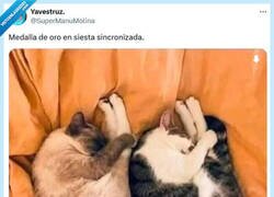 Enlace a Lo mejor son las siestas de domingo, por @supermanumolina