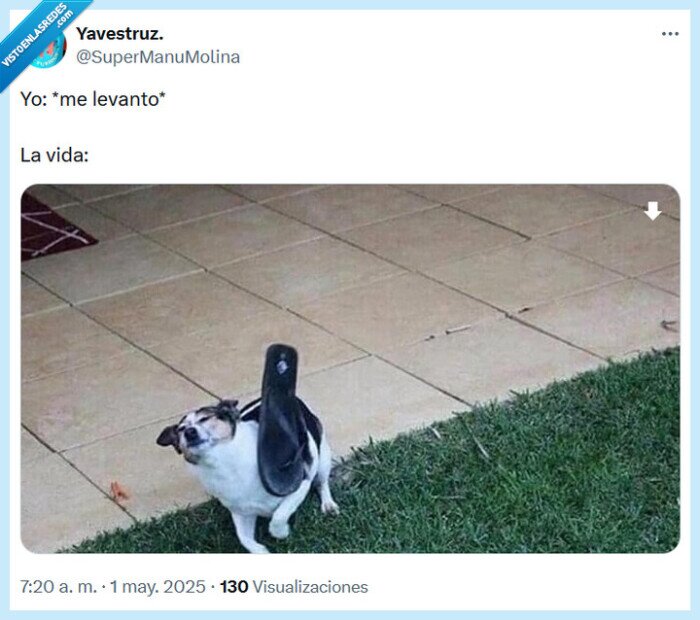 vida,levantarse