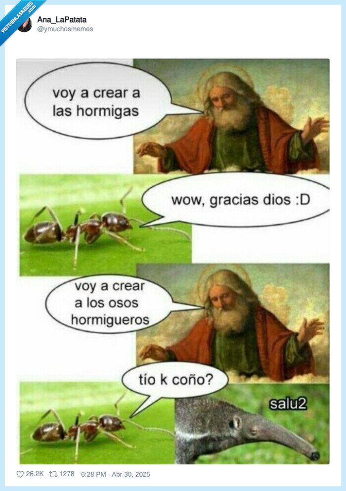 oso hormiguero,dios,hormigas,creación