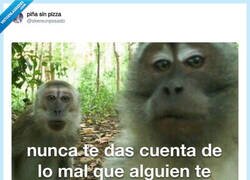 Enlace a Es bueno sacar las cosas de dentro
