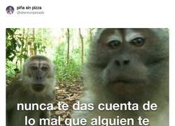 Enlace a Es bueno sacar las cosas de dentro