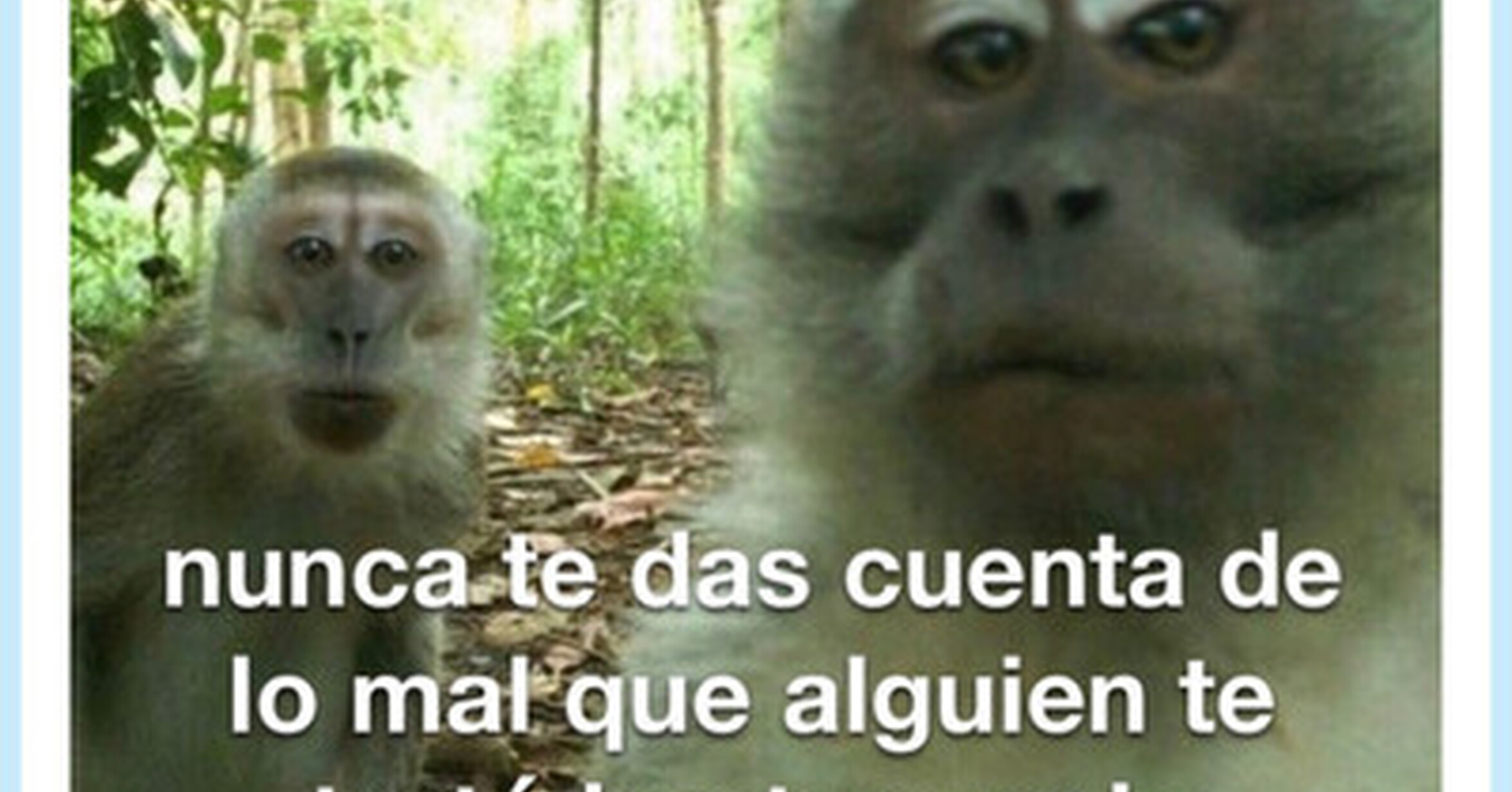 Es bueno sacar las cosas de dentro