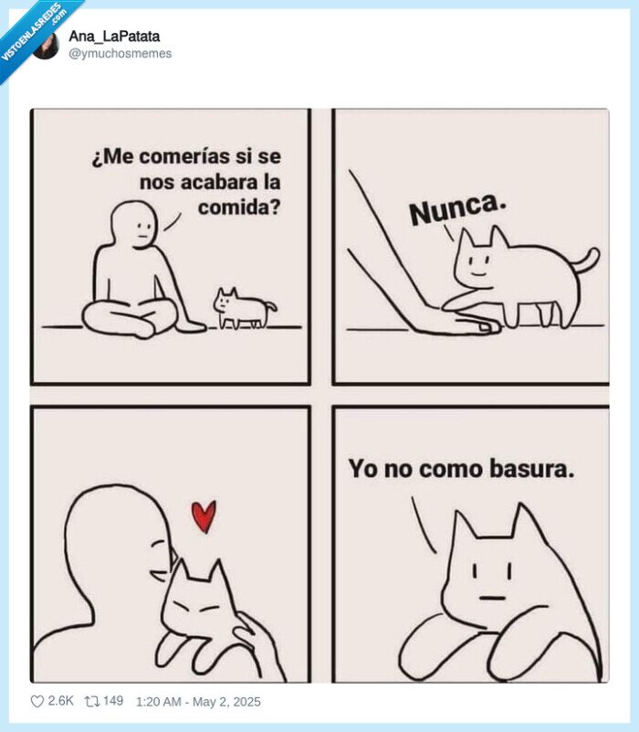 gatos,basura,tratar