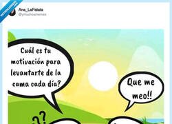 Enlace a Mírate esa próstata, por @ymuchosmemes