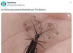 Enlace a Oscuro y con pliegues por @supermanumolina