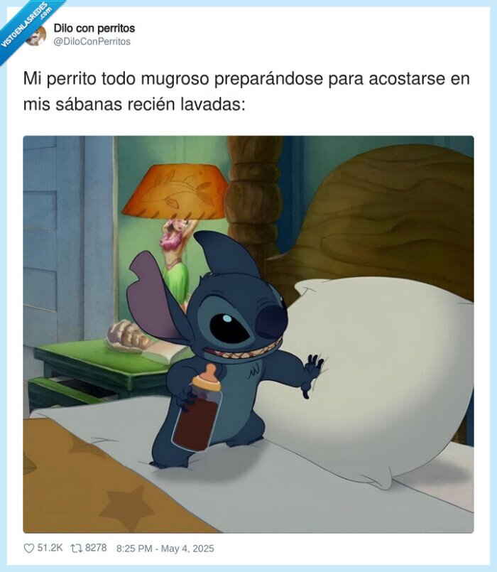 prepararse,acostarse,sábanas,perrito,mugroso