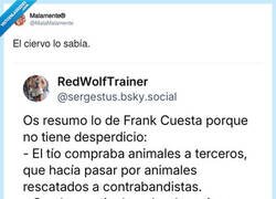 Enlace a El ciervo que le embistió sabía lo que hacía, por @MalaMalamente