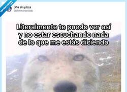 Enlace a Mi cerebro está desconectado, por @skereunpesado