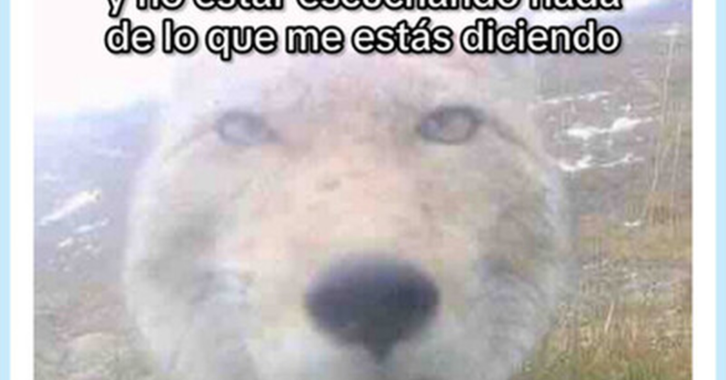 Mi cerebro está desconectado, por @skereunpesado