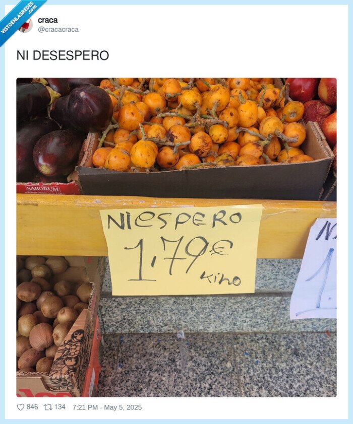desespero,falta,ortografía,nispero