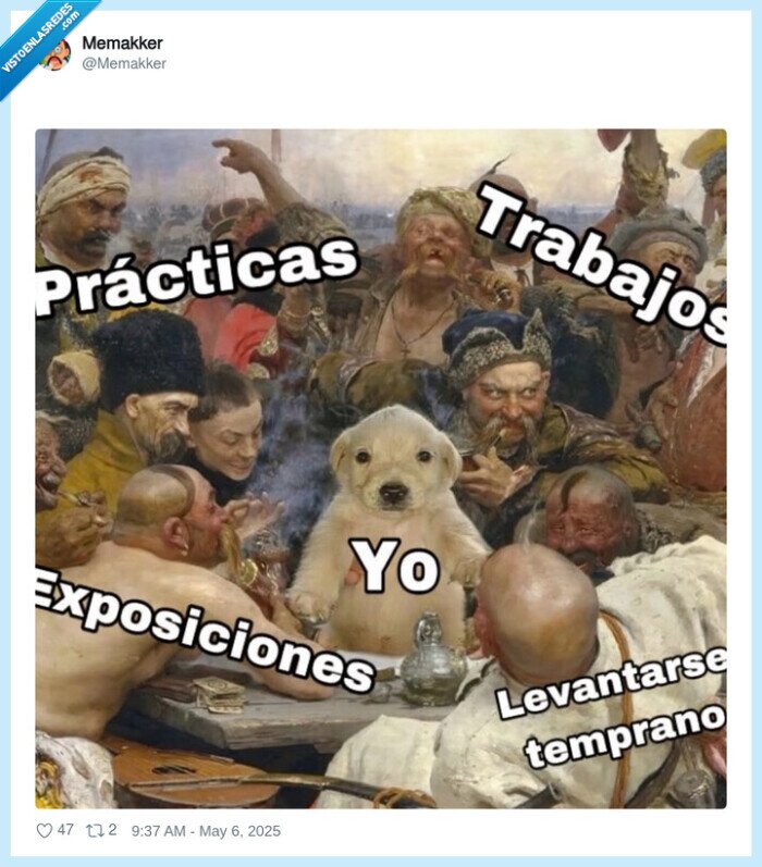 prácticas,trabajos,exposiciones,levantarse temprano