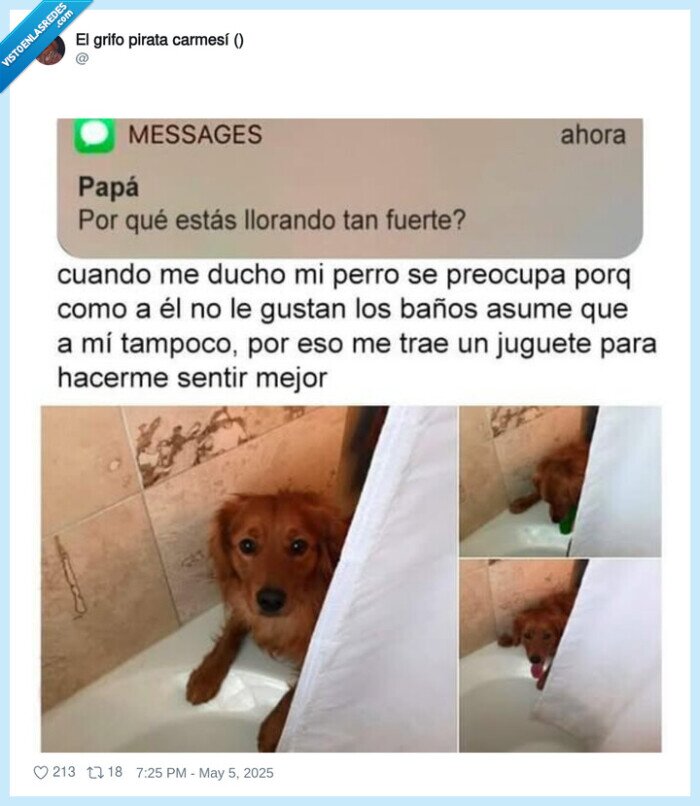 perrito,ducha,juguete