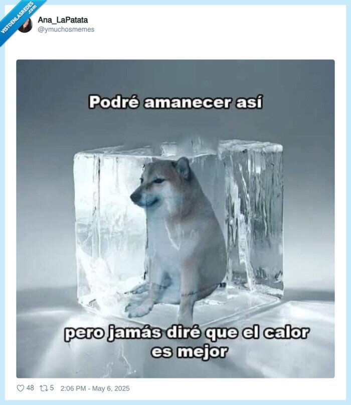 hielo,perro,cheems,calor