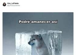 Enlace a Nunca lo admitiremos