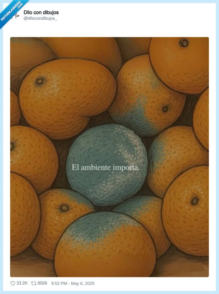 naranja,podrida,amistad,ambiente