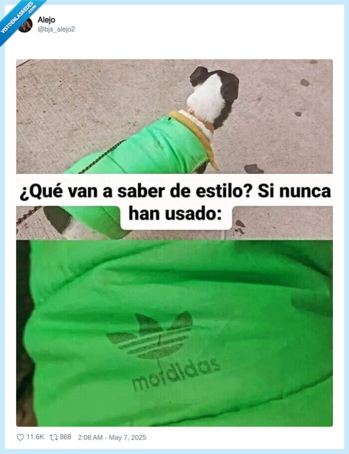 adidas,mordidas,perro,jersey