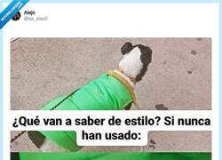 Enlace a Ideal para perros canis